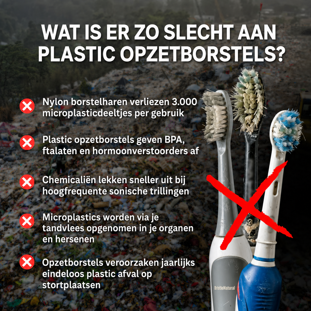 BristleNatural | Opzetborstels met paardenhaar