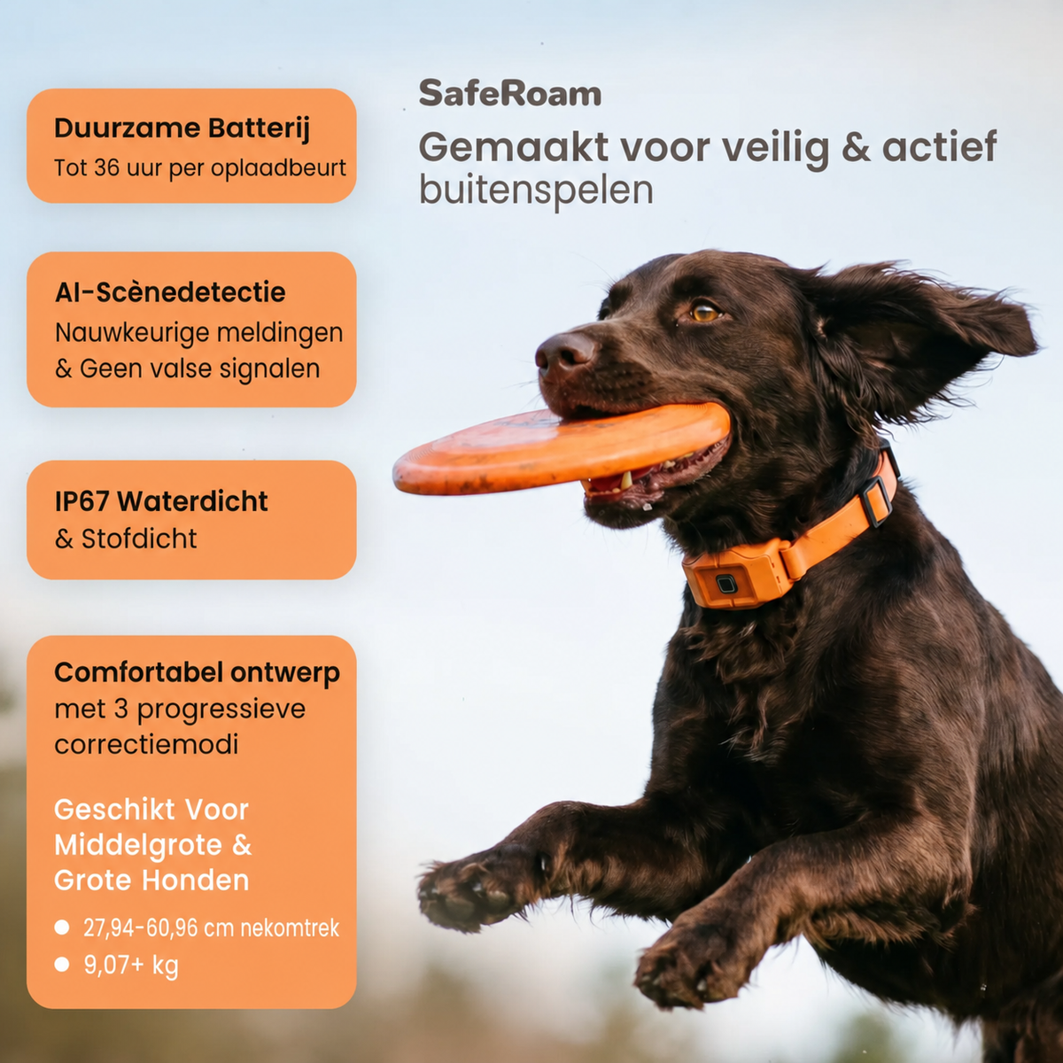 SafeRoam | Draadloze GPS-hondenomheining