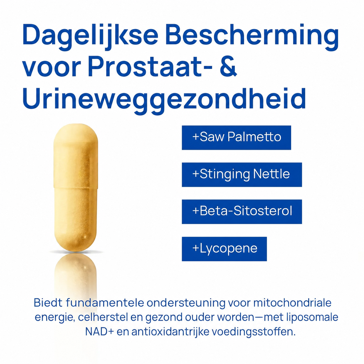 VitalCore | Ondersteunt het energieniveau en het uithoudingsvermogen van mannen
