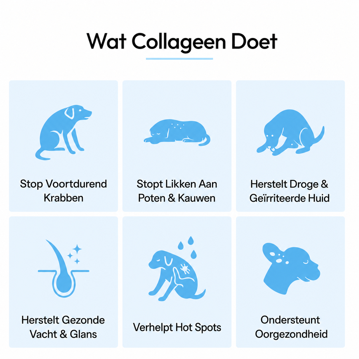 Premium Vloeibaar Collageen