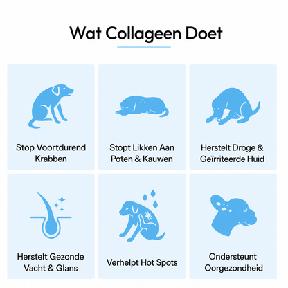Premium Vloeibaar Collageen