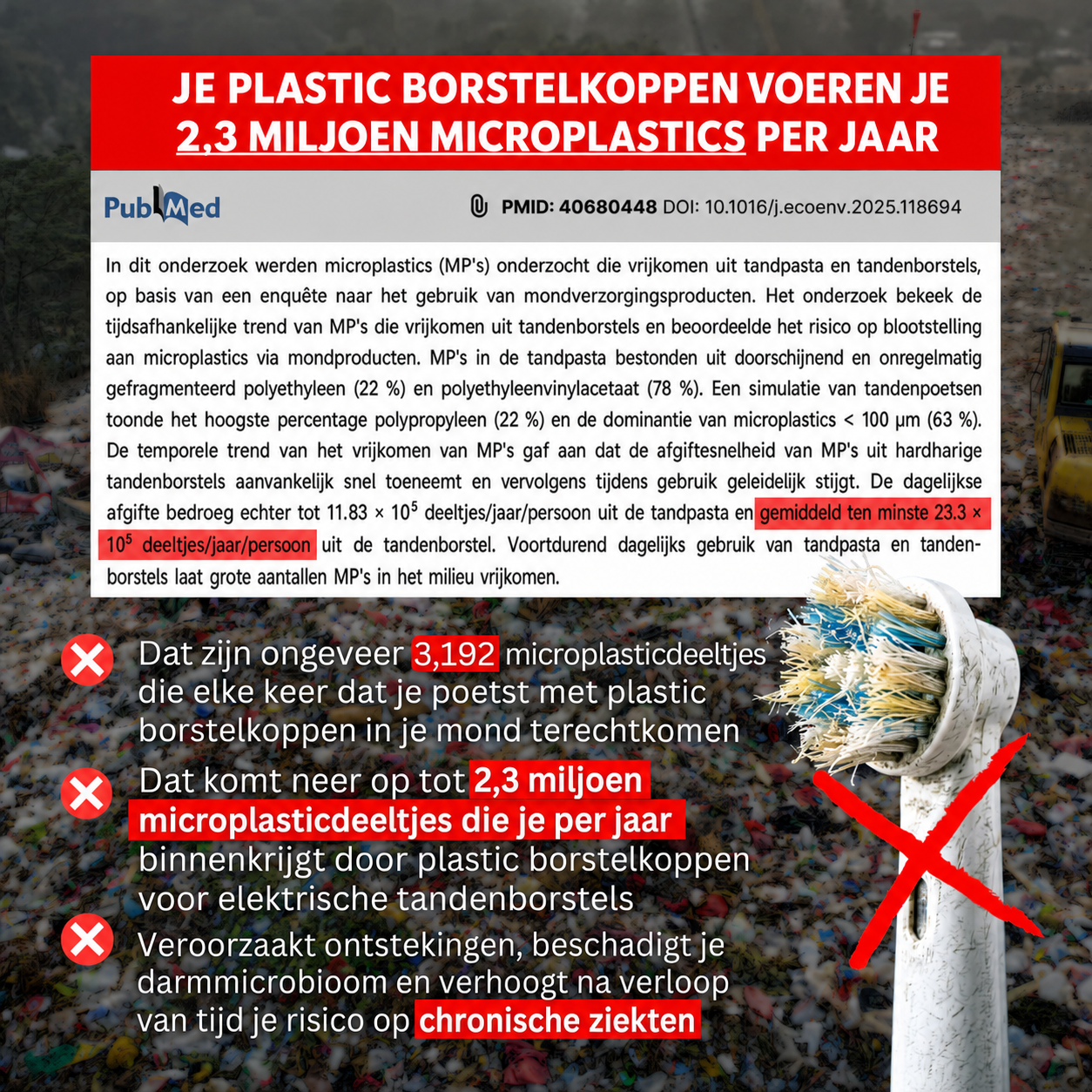 BristleNatural | Opzetborstels met paardenhaar