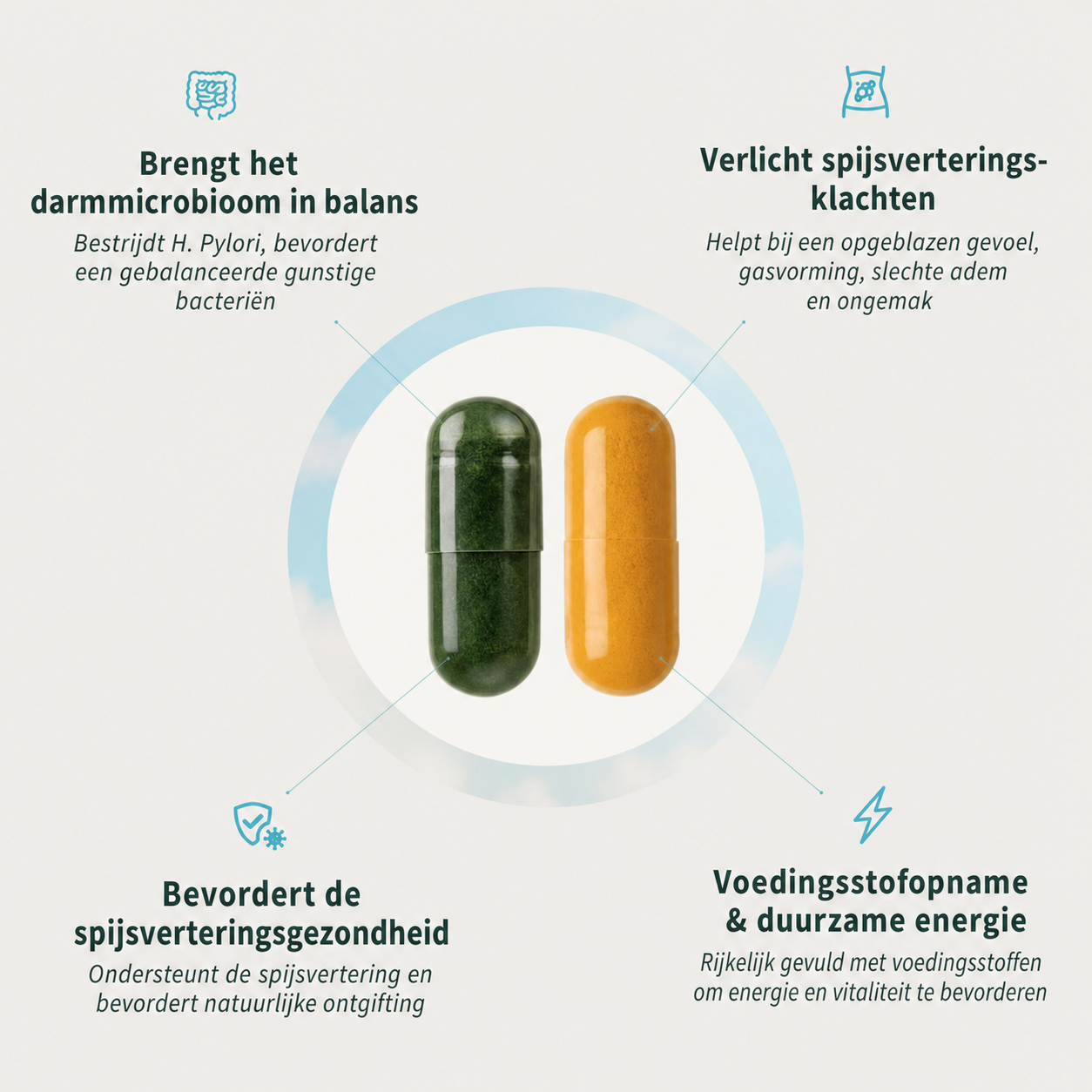 VitalEase | Ondersteunt een gezonde spijsvertering en vermindert een opgeblazen gevoel