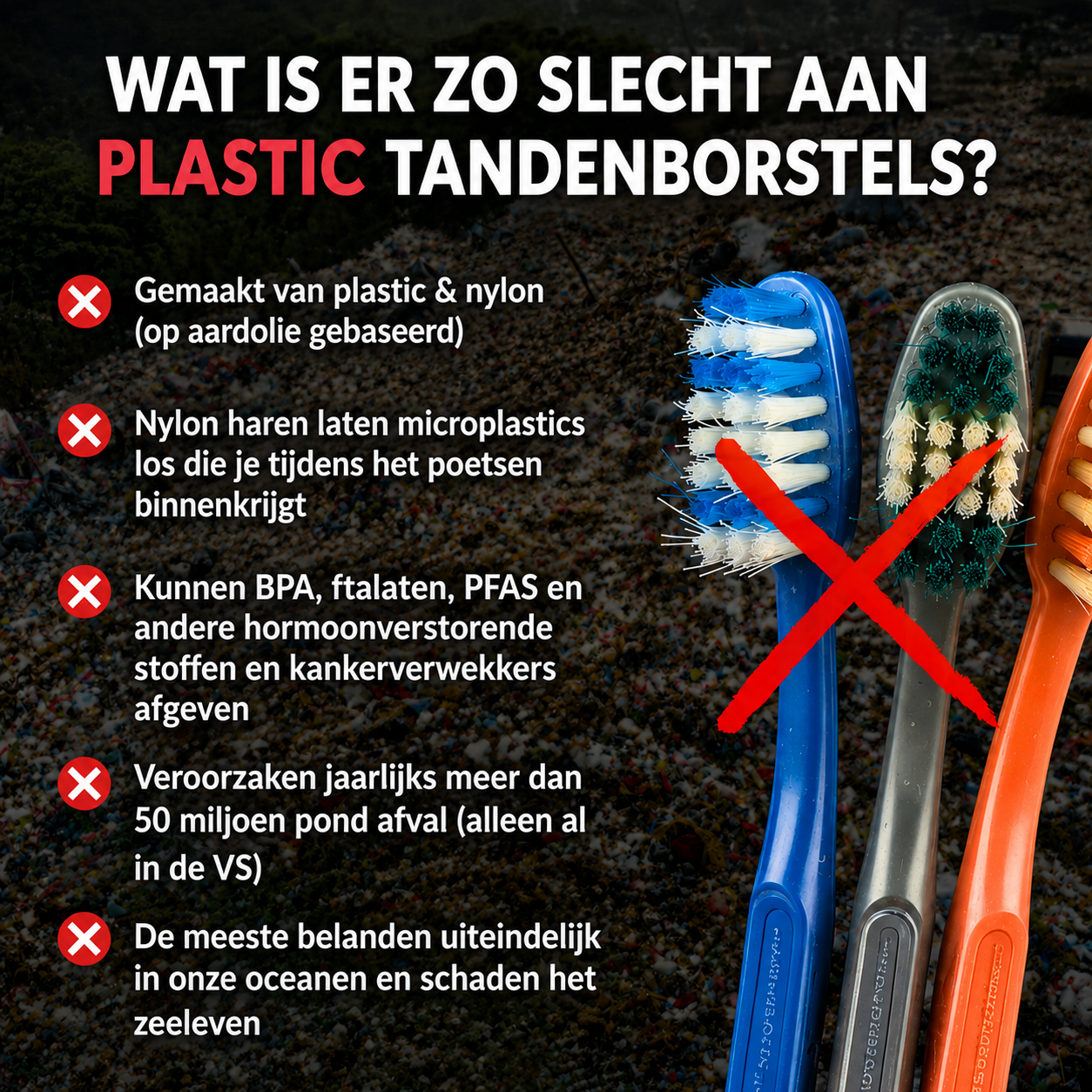 BristleNature | Zwijnenhaar tandenborstel