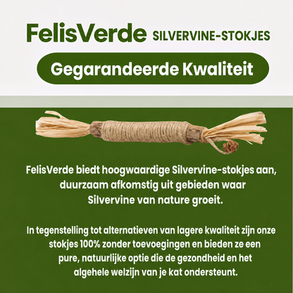 FelisVerde | Kauwstick met galvrucht