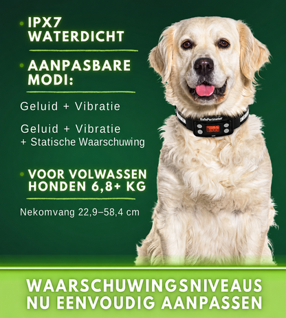 SafePerimeter | GPS-hondenomheining met scènedetectie