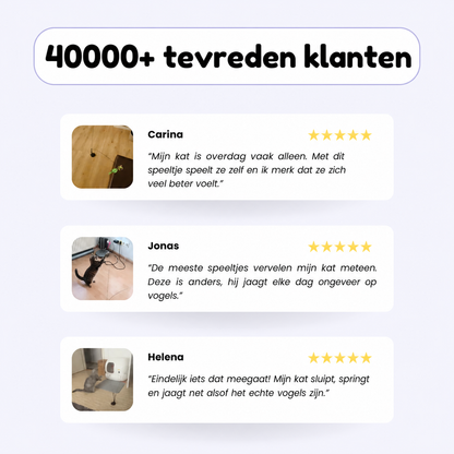 PounceWing | Zelfspelend jachtspeeltje