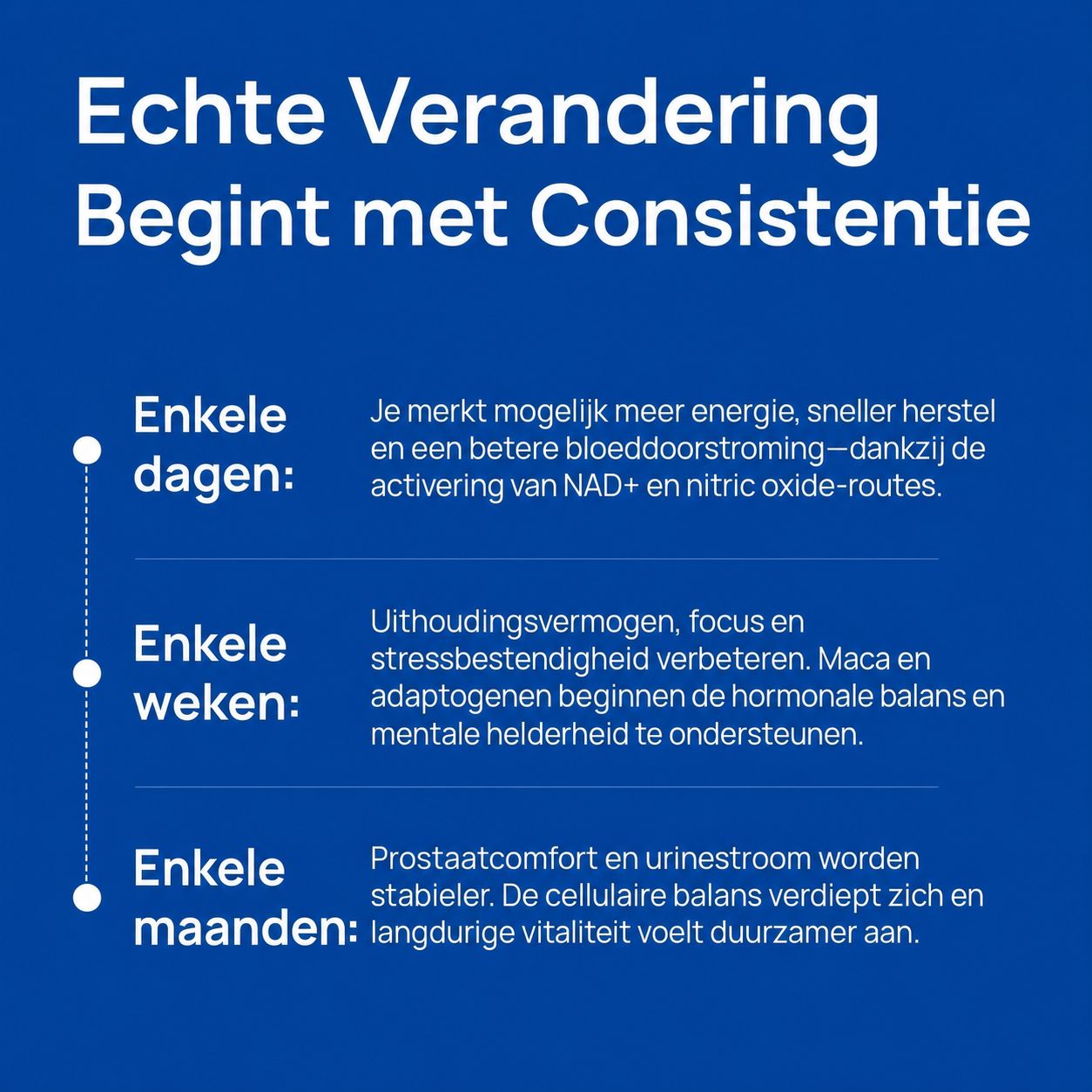 VitalCore | Ondersteunt het energieniveau en het uithoudingsvermogen van mannen