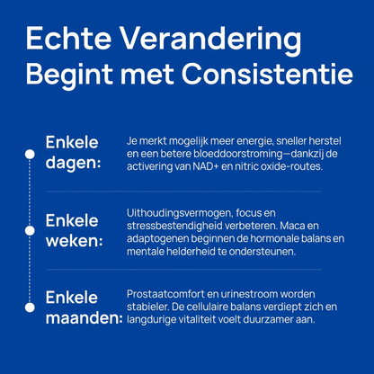 VitalCore | Ondersteunt het energieniveau en het uithoudingsvermogen van mannen