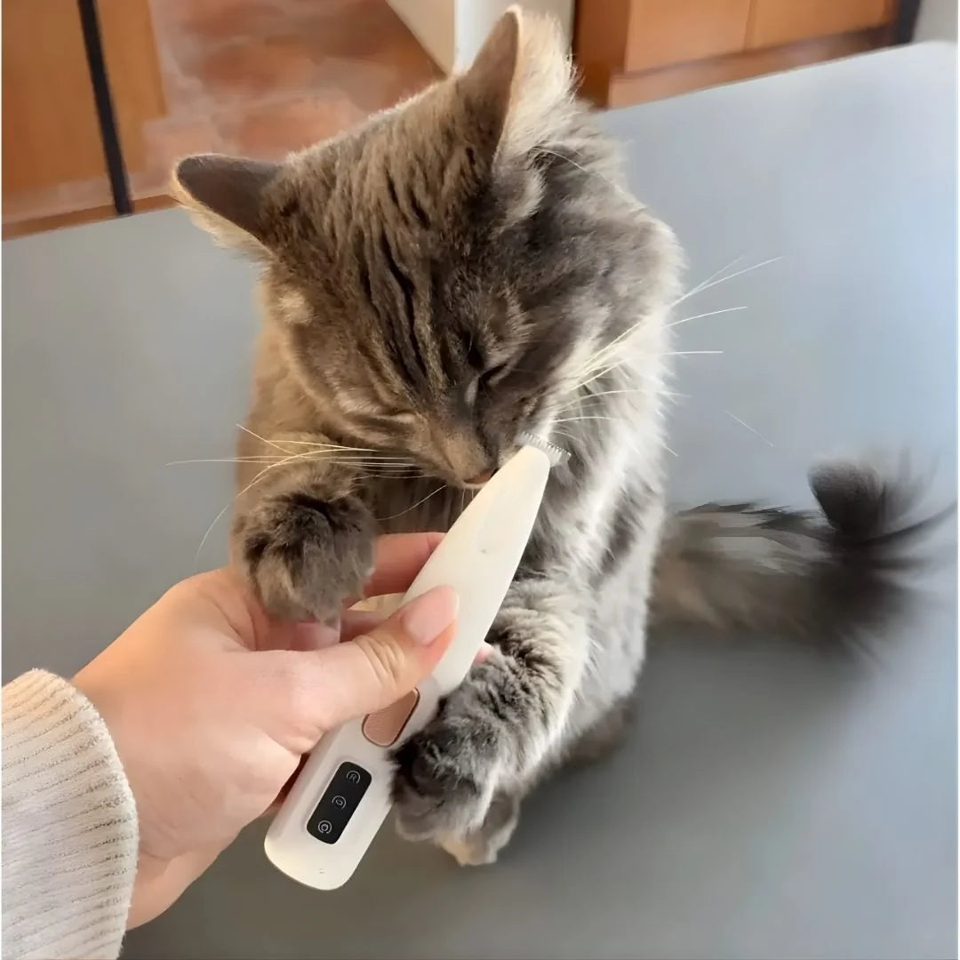KittyScheer | Fluisterstille tondeuse