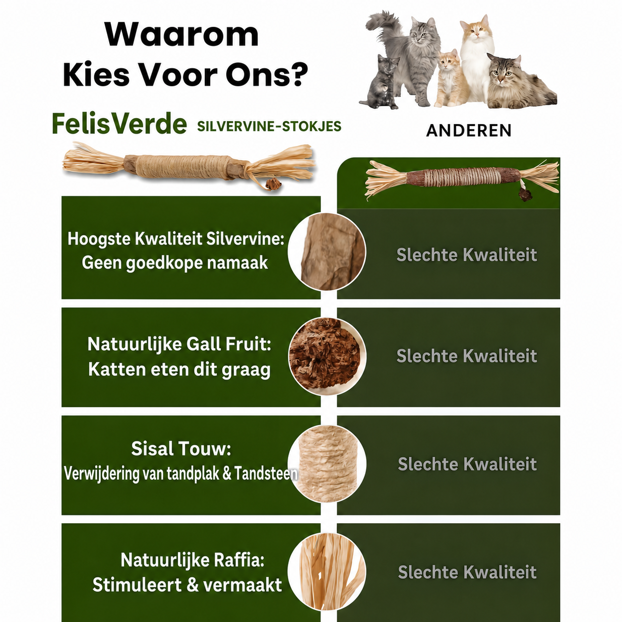 FelisVerde | Kauwstick met galvrucht