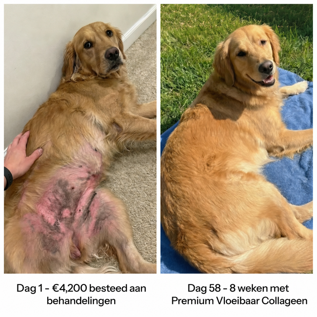 Premium Vloeibaar Collageen