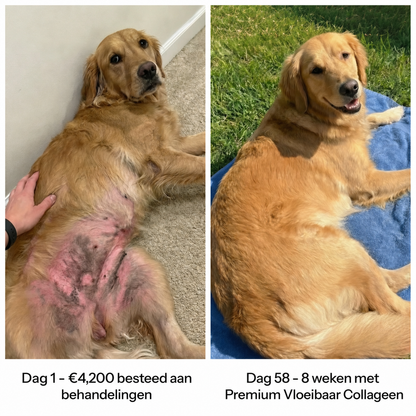 Premium Vloeibaar Collageen