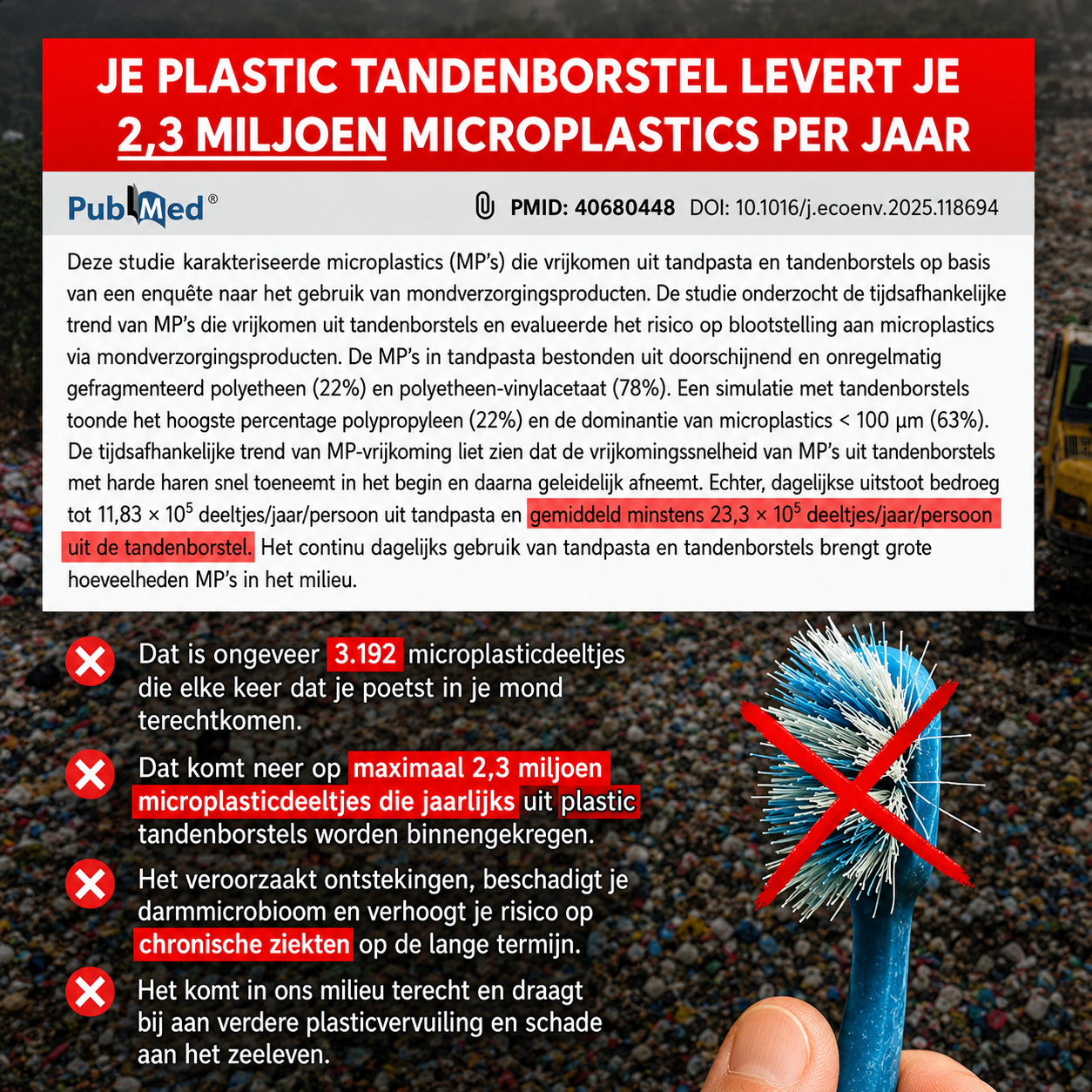 BristleNature | Zwijnenhaar tandenborstel