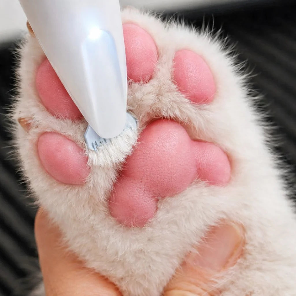 KittyScheer | Fluisterstille tondeuse