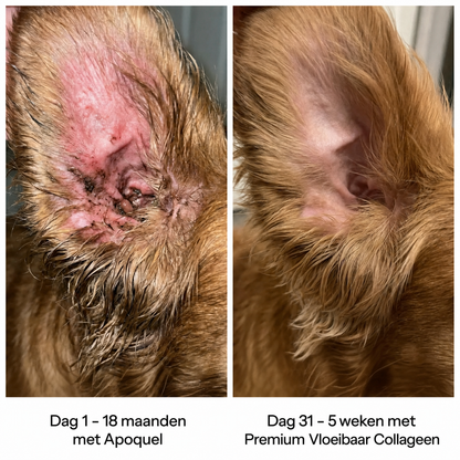 Premium Vloeibaar Collageen