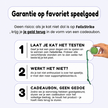 FelixStrike | Zelfstartend kattenspeeltje
