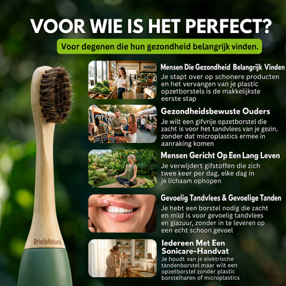 BristleNatural | Opzetborstels met paardenhaar