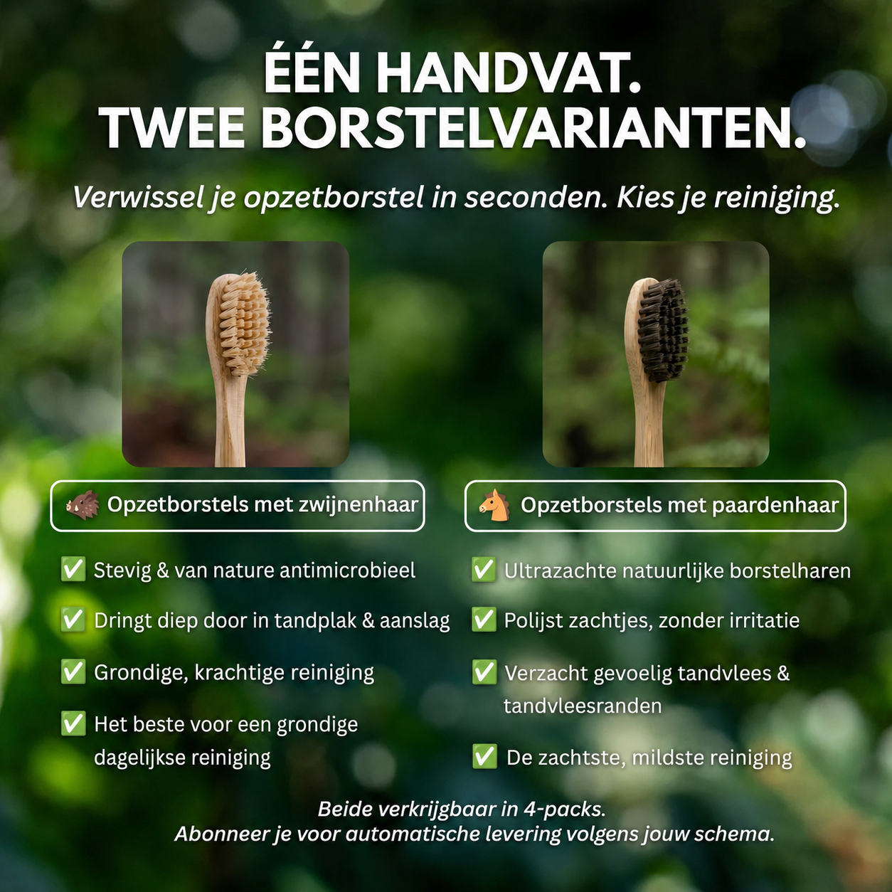 BristleNatural | Opzetborstels met paardenhaar