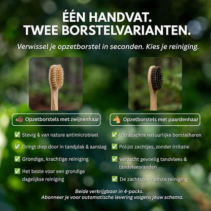 BristleNatural | Opzetborstels met paardenhaar