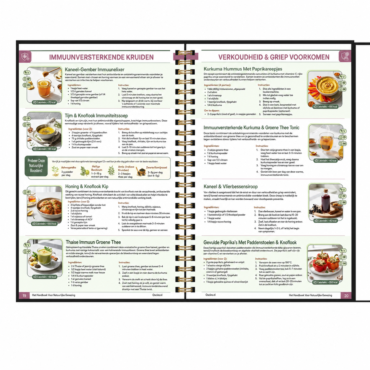 HealGuide | Het Natuurlijke Genezings Handboek