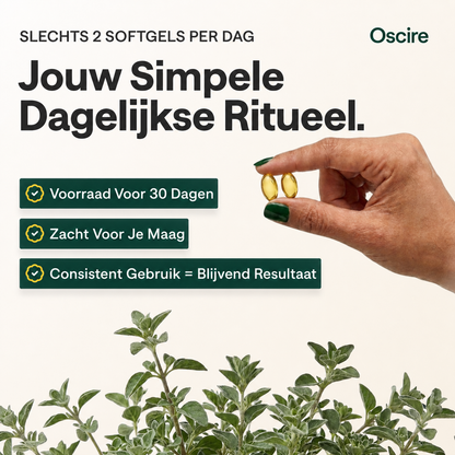HerbaLeaf | Geeft gerechten een krachtige en aromatische oreganosmaak