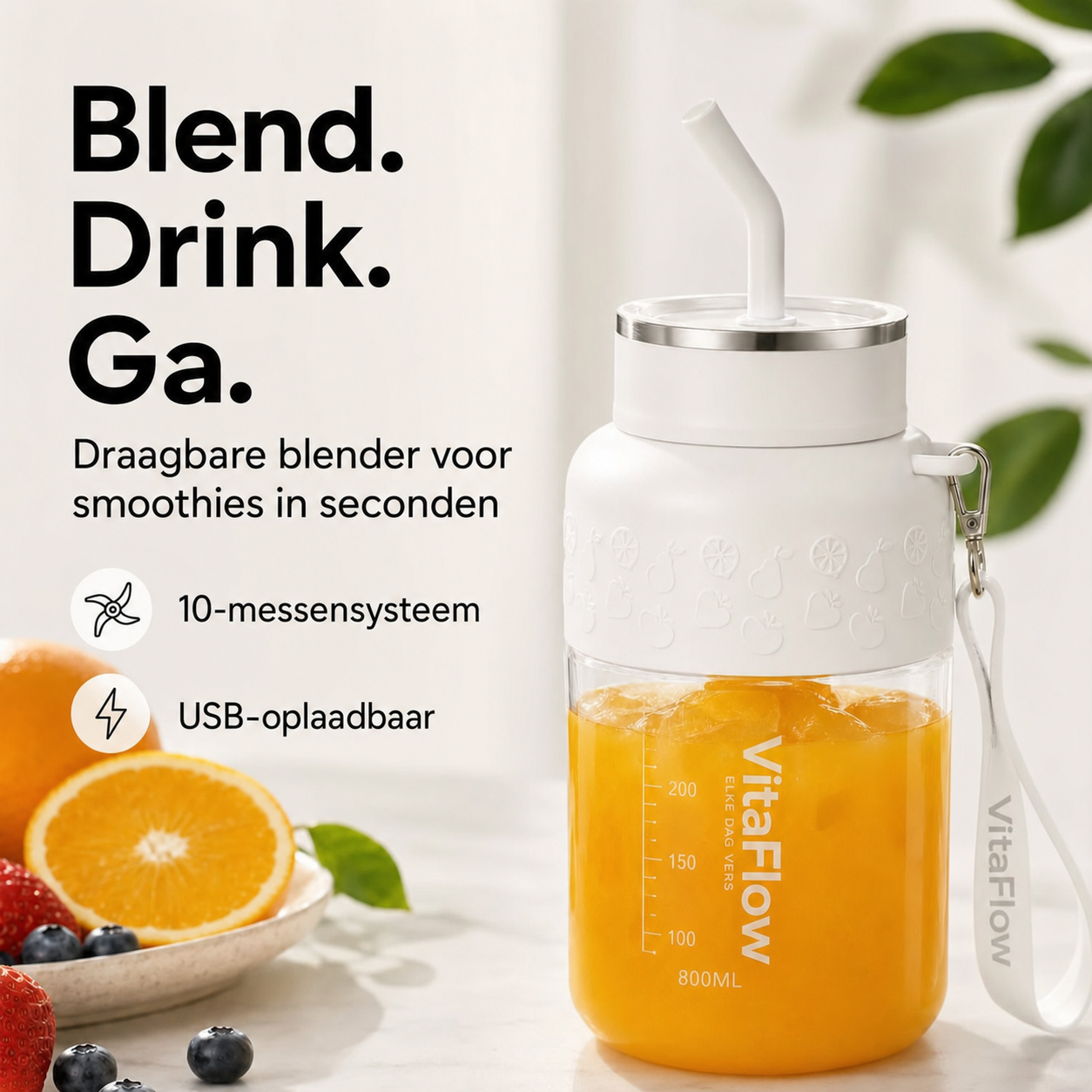 VitaFlow | 10-mes smoothieblender