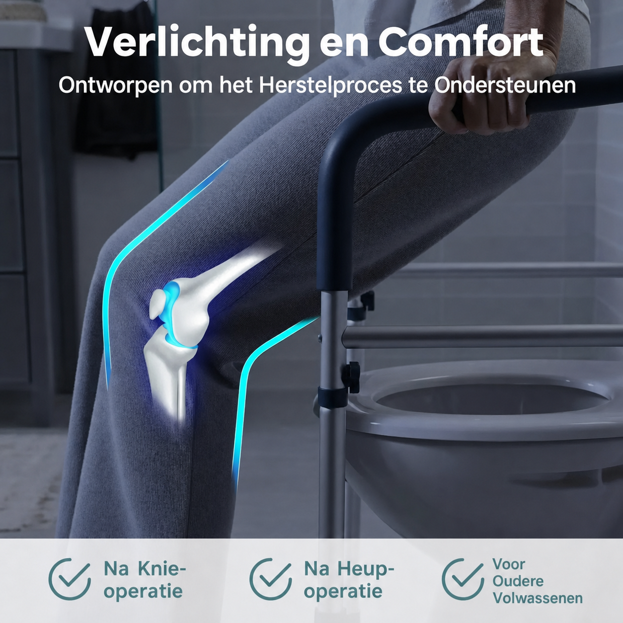 GripEase | Vrijstaande toiletbeugel