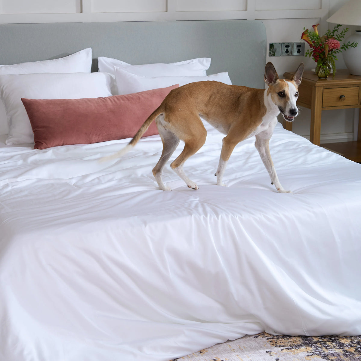 FURRFREE Bamboe-beddengoedset – Huisdierhaar-afstotend voor gezinnen met honden of katten