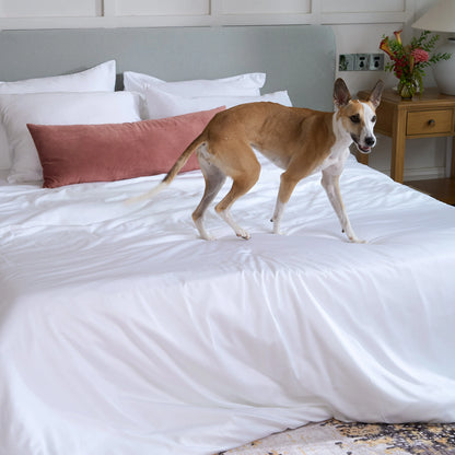 FURRFREE Bamboe-beddengoedset – Huisdierhaar-afstotend voor gezinnen met honden of katten