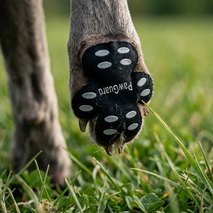 PawGuard | Beschermt hondenpoten tegen ruwe oppervlakken en weersinvloeden