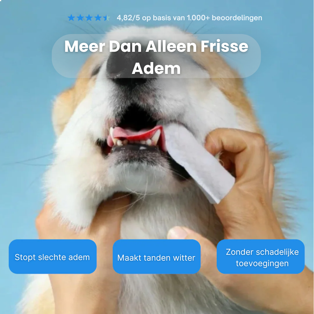 Dental Vingerdoekjes | Veilige & Gezonde Gebitsverzorging