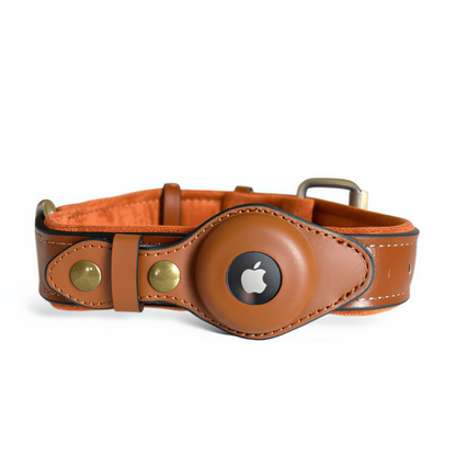 PawGuard | Hondenhalsband voor AirTag