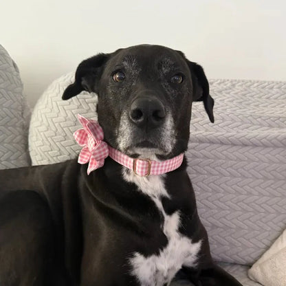 BloomPaws | Verstelbare Hondenhalsband - Roze gingham