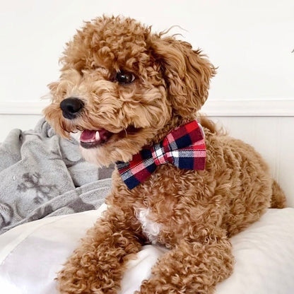DapperPaws | Hondenhalsband met vlinderdas - Rode Schotse Ruit