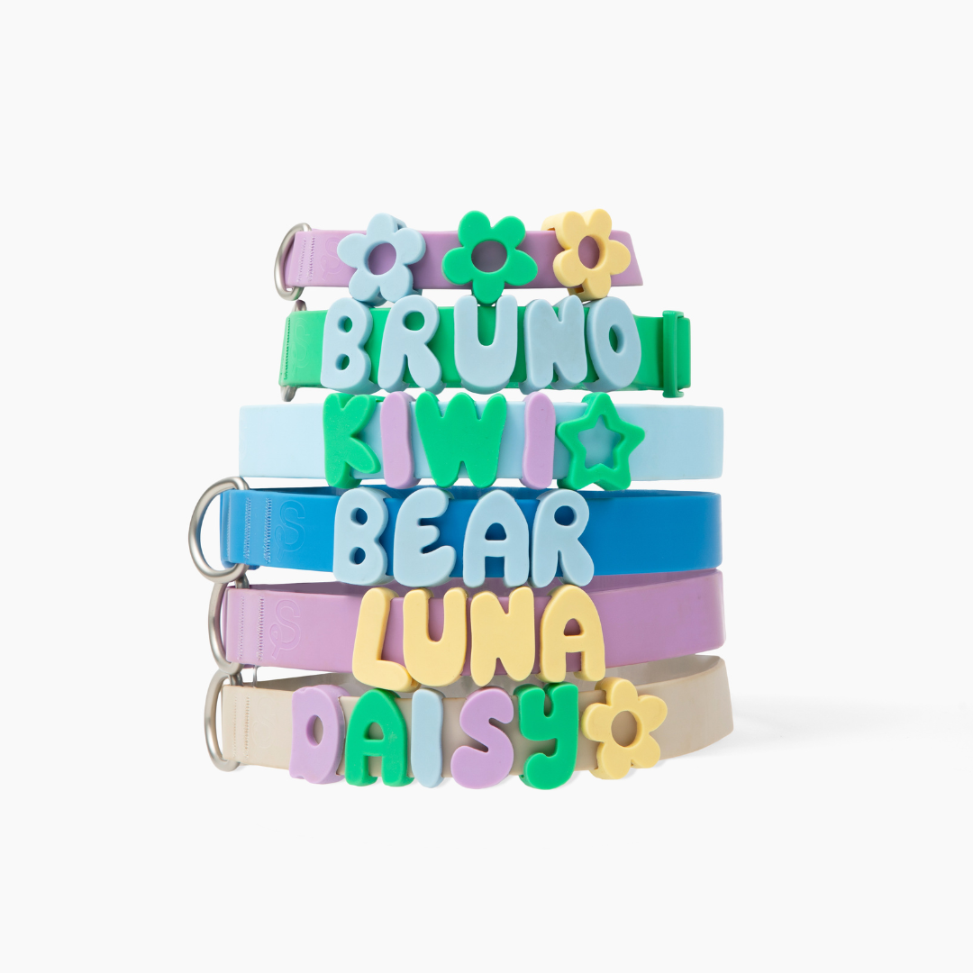 BestieCollar | Persoonlijke Hondenhalsband
