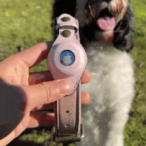 PawGuard | Hondenhalsband voor AirTag