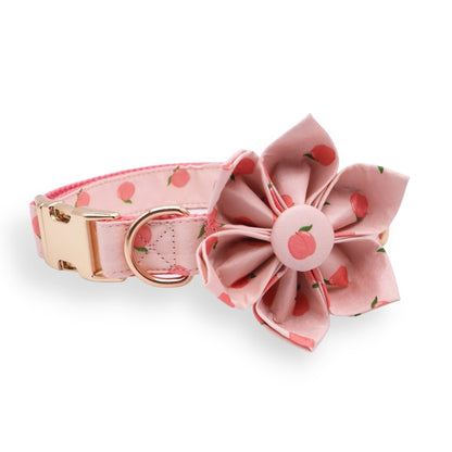 BloomPaws | Verstelbare Hondenhalsband - Perzik blos