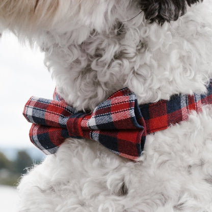 DapperPaws | Hondenhalsband met vlinderdas - Rode Schotse Ruit