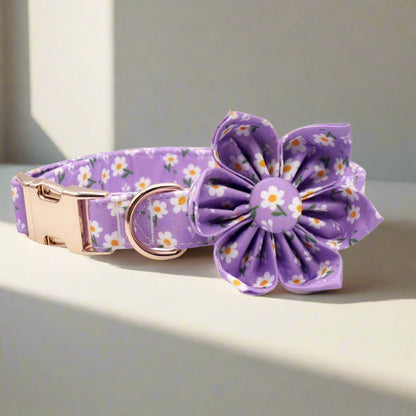 BloomPaws | Verstelbare Hondenhalsband - Paarse madeliefje