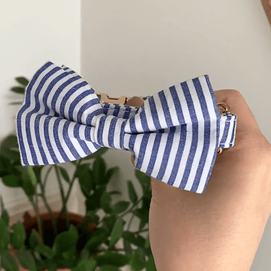 DapperPaws | Hondenhalsband met vlinderdas - Blauwe strepen