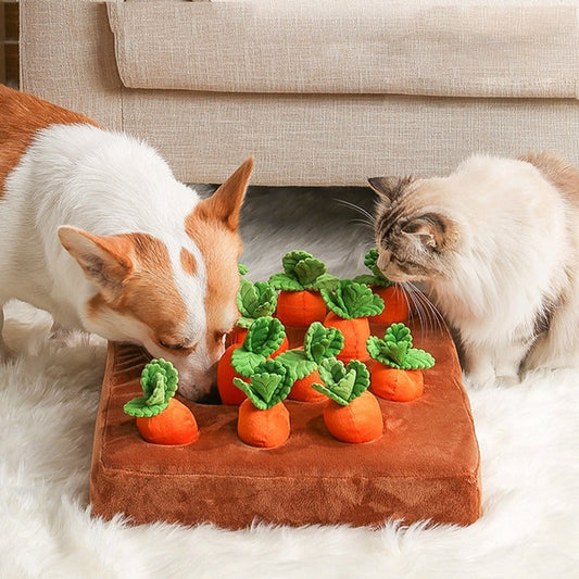 ZoekAkkertje | Snuffeltuin voor Honden en Katten – Mentale Verrijking en Natuurlijk Zoekspel