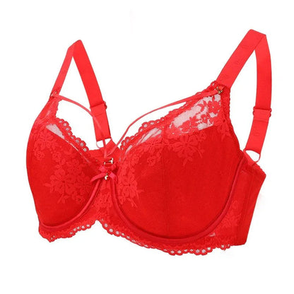 Fallsweet Push-up Beha met Kant & Beugel – Sexy & Comfortabel – Grote Maten Lingerie