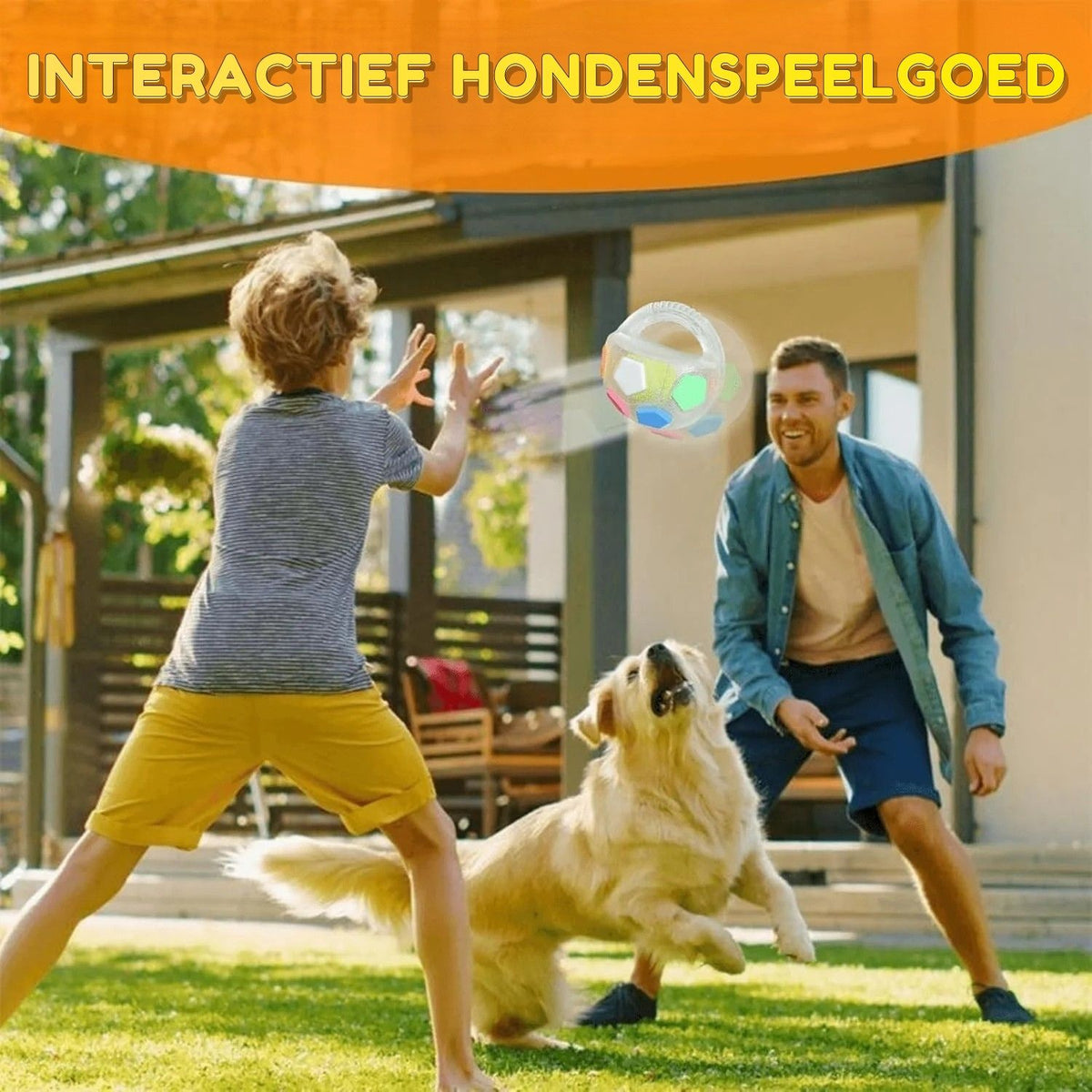 BounceBuddy - Interactief Hondenspeelgoed met Handgreep en Kleurrijke Panelen