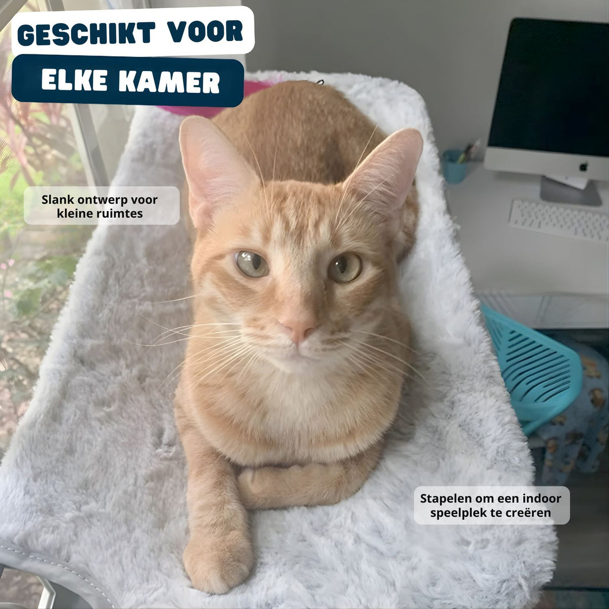 Lunaro | Raamhangmat voor Katten – Opvouwbaar, Stabiel en Comfortabel